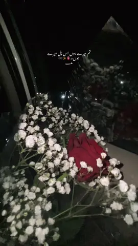 >>🫶🏽#creatorsearchinsights #fypシ゚ #unfrezzmyaccount #viewsproblem #tiktokgrowth 