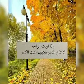 #ابي #للعقول_الراقية_فقط🤚🏻💙 