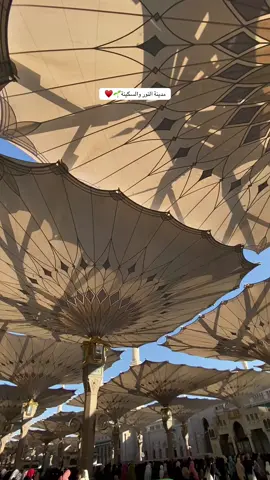 #المدينه_المنوره #محمد_صلى_الله_عليه_وسلم #اكسبلور 