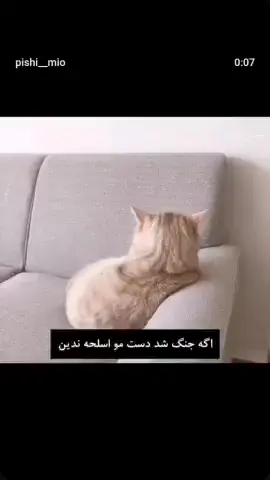 مشتی فالو کن پر پیجم از ایناس🎀