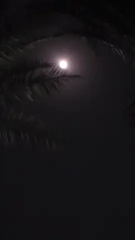 #خالد_عبدالرحمن #قمر #مساء 