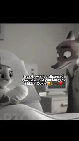 dhamaaaD quruX pdn😭🫶🏼🫦