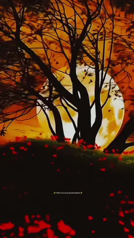 #foryoupage #naturalists6 #💫glintofthoughts💫 #songs #zipwordings @TikTok @tiktok creators @Tik Tok Trends @TiktokPakistan Official