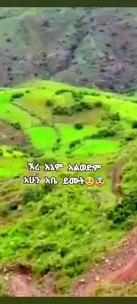 #ቅር➻ብቻ🖇ፍቅር➻ብቻ❤🥀🔐 #አማራዬ💚💛❤አማራዬ💚💛❤ #viral_video_tiktok #viral_video #ኢትዮጵያ_ለዘለዓለም_ትኑር🇪🇹🇪🇹🇪🇹 