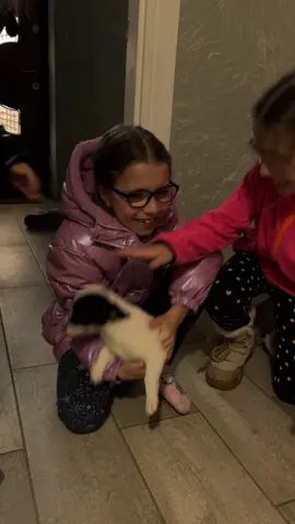 3.12.25 день, коли плакали всі🥹маленька Мія тепер не в притулку, тепер ми її сімʼя. Напередодні Миколая я запропонувала донькам замість 🎁 купити необхідне хвостикам в притулок і вони навіть не підозрювали, що це все для нашої Мії🤍🤍🤍 #притулок #трійня #собачка #цуценя #puppylove 