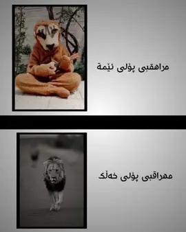 ئکتیف کەن دەی کاکە😂 #foryou #viral #foryoupage #likeee #مەکتەب 