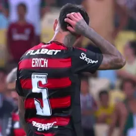 Terror do fuchs #flamengo #fy #pulgar #palmeiras #libertadores 