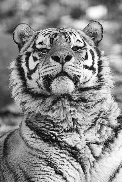 #expressions #texts #explore #quotes 