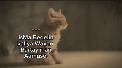 ...♾️🖤 #foryou #fyp #viraal 