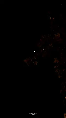 ضاقتْ  بنا  الأيّامُ  بعدَ  وداعكم  يا غُربةَ الخفّاقِ لو ضاعَ الوطنْ ما كُلُّ  مايرجو الفؤادُ  مُؤَمَّلٌ والريحُ لا تأتي كما تهوى السفنْ #هدوء  #بدون_موسيقى 