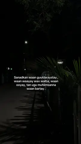 Insha allah new year nolol tan dhaanta rajena 😓#somalitiktok #foryoupage #fyp 