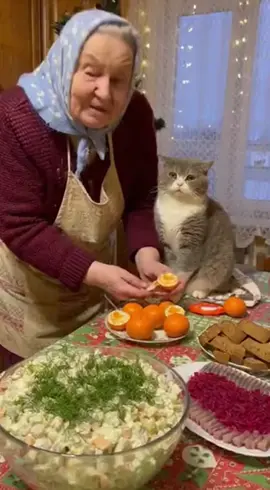 Кошка и бабушка в новогодней суете #бабушка #ии #мемы #новыйгод2026 #прикол 