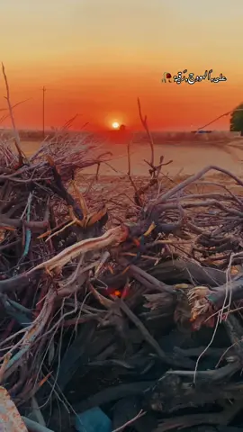 🥀#تصويري_احترافي_الاجواء👌🏻🕊😴 #متابعه_ولايك_واكسبلور_احبكم #تصويري_احترافي_الاجواء👌🏻🕊 #الشعب_الصيني_ماله_حل #💔🥀 