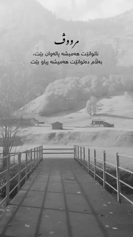 #furyoupage #parati #kurdistan #fyp 