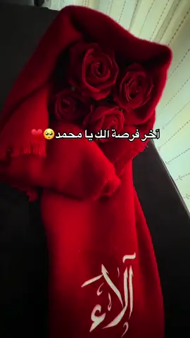 ✨ لفحة سكارف أنيقة مع ورد جذّاب تزيد من جمال إطلالتك في كل موسم! والأجمل؟ التوصيل مجاني لجميع الولايات داخل تركيا 🚚💛 اطلبيها الآن وامنحي يومك لمسة نعومة وأناقة. #سكارف #لفات_سكارف #هدايا #تركيا #توصيل_مجاني   