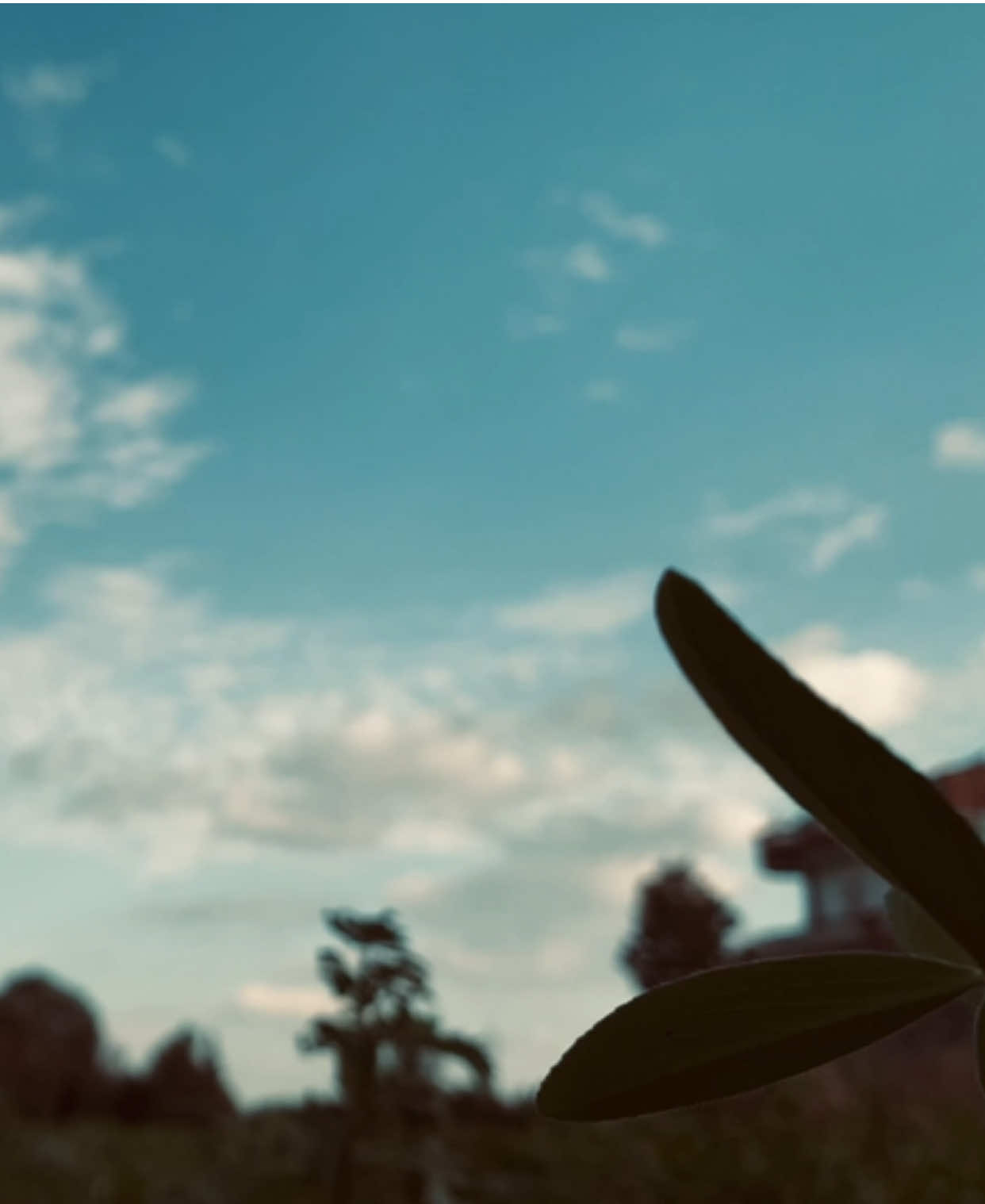 اللي لابس سمعات انا اسف 🩶ً #حوده_بندق #قلي_ليه #islam_massad 