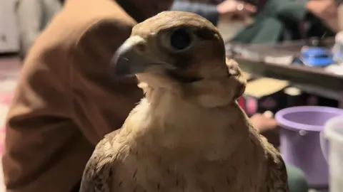 مشاءالله ❣️ #السعوديه #fyp #اكسبلورexplore #tiktok #foryou 