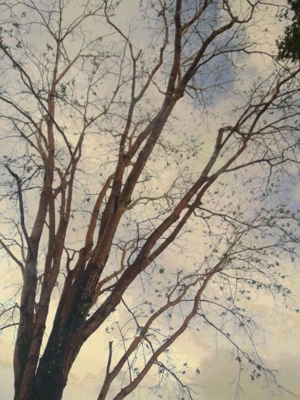 So much fills my soul, and I carry it on my shoulders. To what path will I stop? To what road will I return? Will I ever return to my place? Will I see my happy days last? Will I be of importance in my desired place? #fy #fypシ #sea #fyppppppppppppppppppppppp #الشعب_الصيني_ماله_حل😂😂 