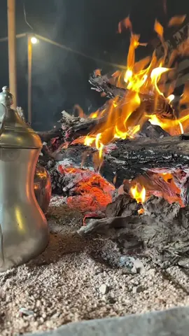 #قصيد #شعر #اكسبلور #explore #حايل 