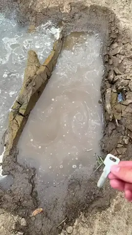 طريقة عبقرية لاستخراج المفاتيح من الماء العكر بسهولة #استخراج_المفاتيح #مفتاح_ضائع #نصائح_محلية #حيل_منزلية #حلول_سريعة #ابتكار_منزلي #كيف_تفعل #مهارات_يومية #مشهد_واقعي #اختراعات_صغيرة