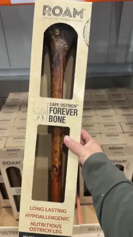 Costco Has a 20-Inch “Forever Bone”! 🦴😳 #costcofinds #DogTreats  #dogsoftiktok #giftidea2025 #costcobuys 