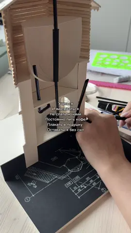 Тгк Лиза Игги 