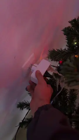 Christmas mood😅🥰❤️ (just for fun😊🤍)####catlover #catsoftiktok #funnycat #christmas #fyp 