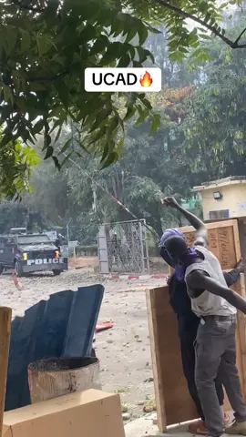 #ucad #etudiant 