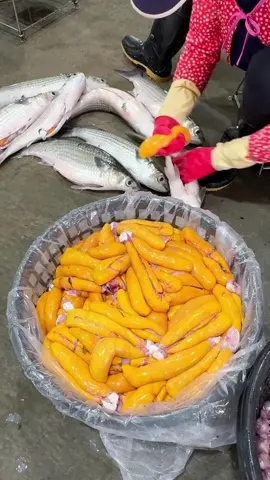 #köy #keşfet#karadenız tıktok Trabzon Rize yayla Artvin ordu giresun samsun 