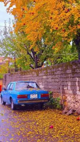 😍📸🍂🍁#CapCut #CapCut #fyp #tiktok #nachore 