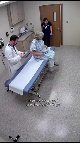 Best dog saved grandma #viral #laughing #jokes #fyp #dogs 