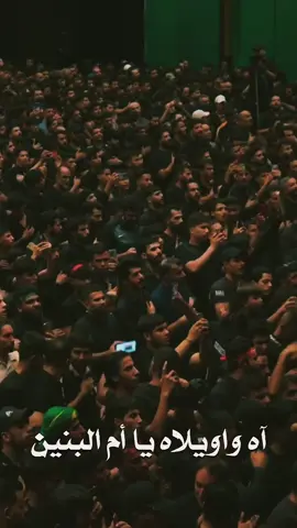 #آه_وا_ويلاه_ياام_البنين #باسم_الكربلائي #رحمك_الله_يا_فقيدة_قلبي💔 