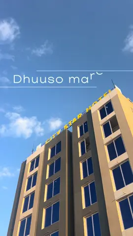 Soo muuqda dee reer dhuuso mareeb 🤔Mahadsanid @𝑮𝒖𝒓𝒆𝒚 𝑯𝑫 📸 #qoslaaye_77 #dhuusamareeb 