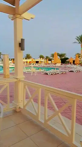 قران كريم #قران_كريم #السيد_سعيد #explore #يارب 