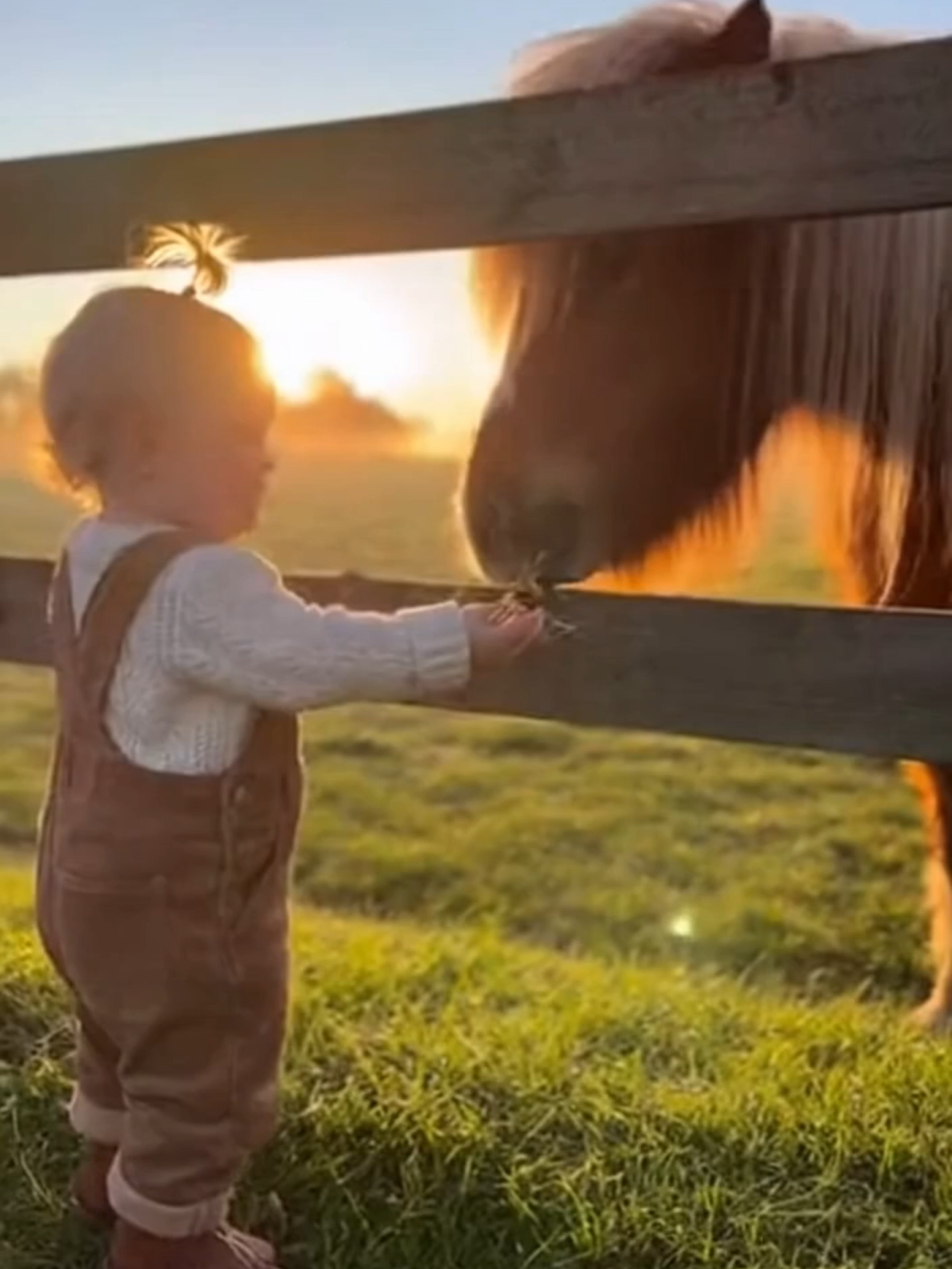 Bebês Compartilhando.  #bebê #bebêsdotiktok #bebêsfofos #fofo #divertido