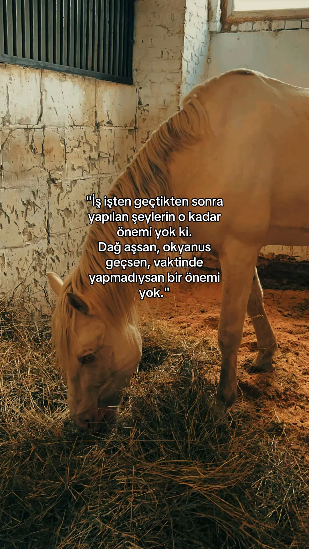 #beniöneçıkart #benionecikartiktok 