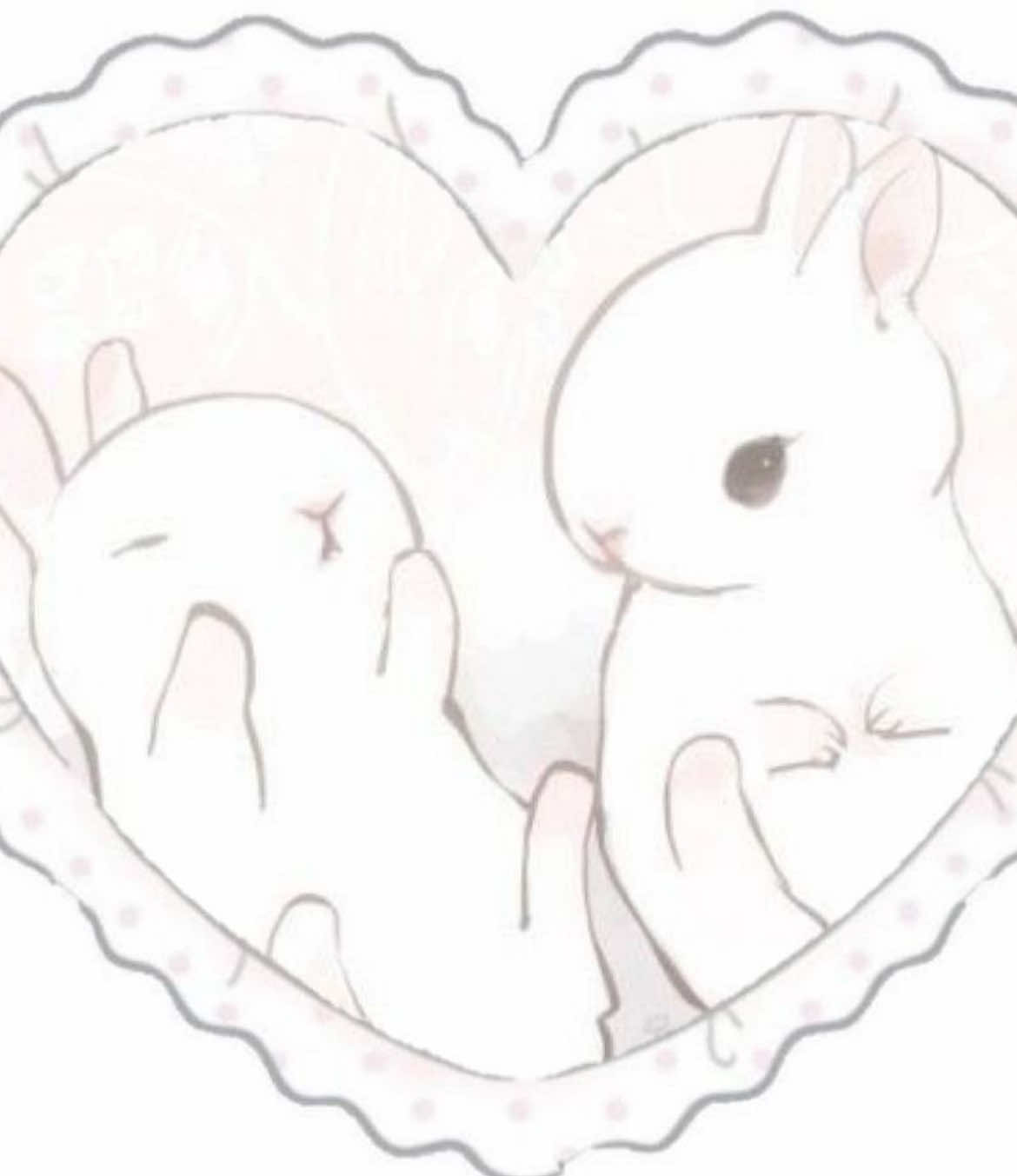 Bunni #cute #bunnys #boyfriend #ilovemybf #xyzbca 