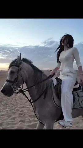 حبنا 💖✨✨#الخياله_شهد_الشمري🐎 #خيل_وخياله🐎 #الخياله_شهد_الشمري🐎🇸🇦 #مالي_خلق_احط_هاشتاقات #شهد_الشمري 