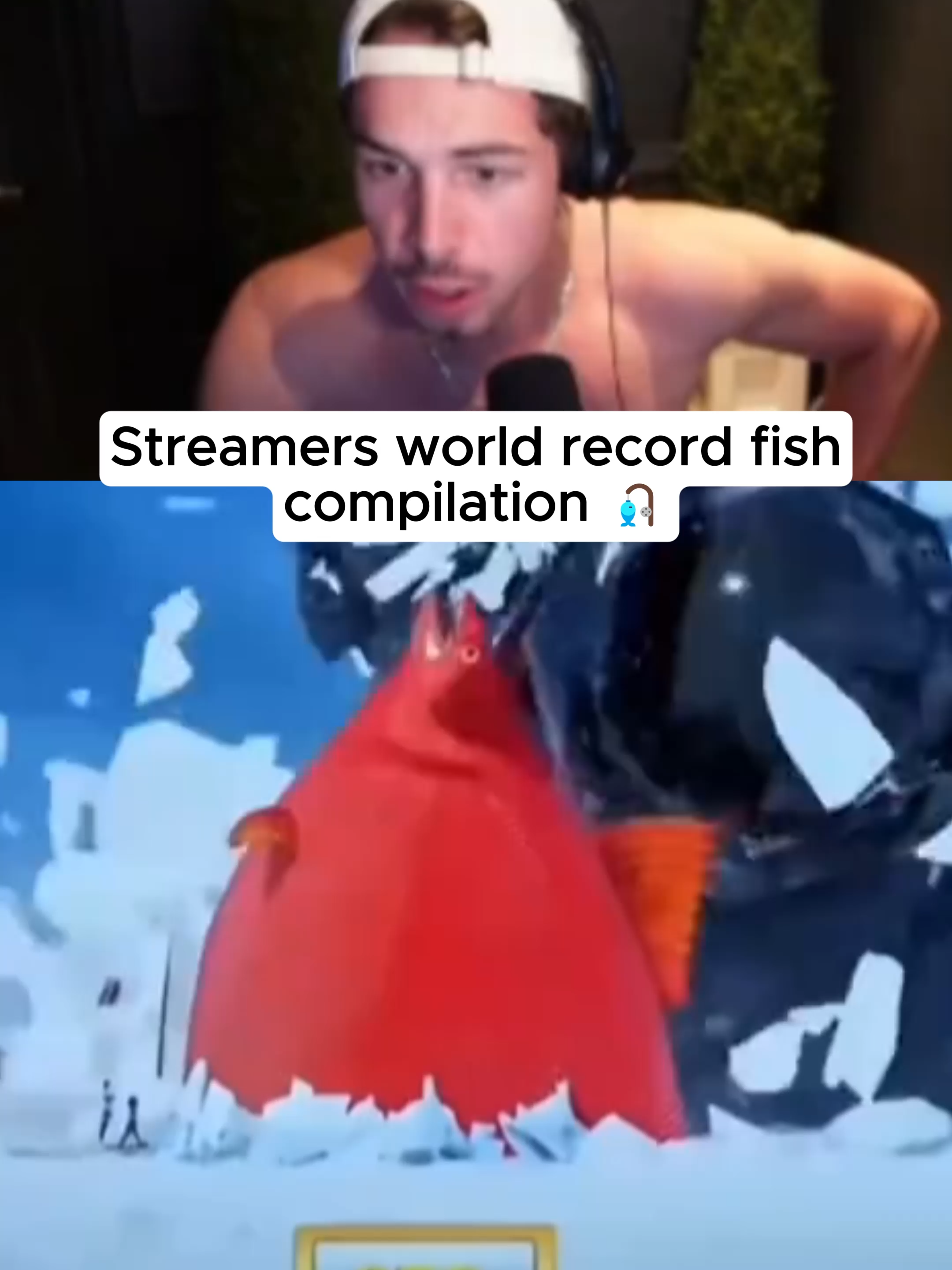 Streamers world record fish compilation 🎣 #kickstreaming