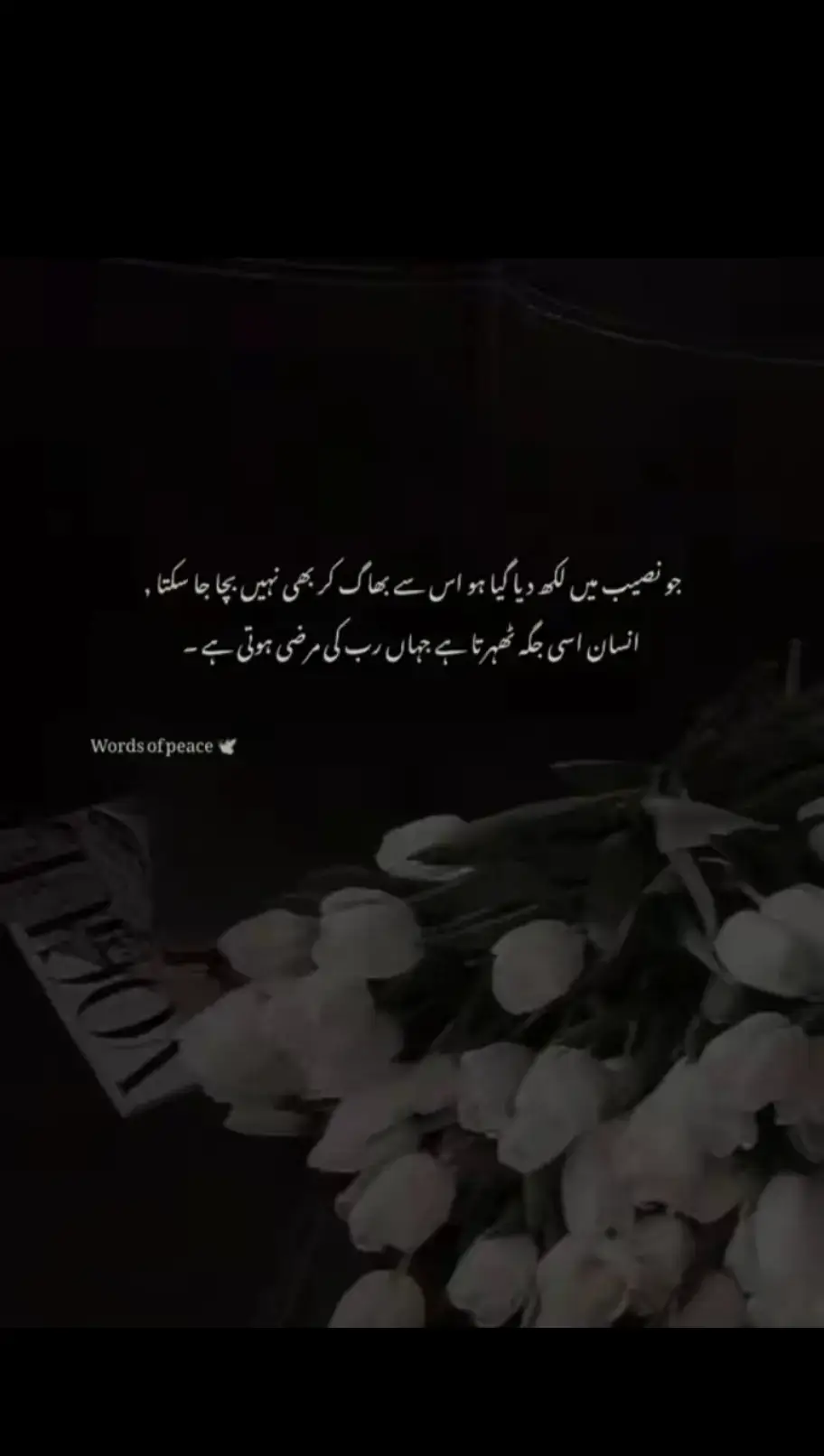 بے شک بے شک 💯💗