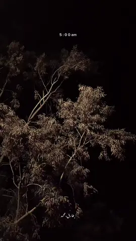 #foryou #fyp #6arek😍☝🏻 #tarekmohamed_ #fyppppppppppppppppppppppp 