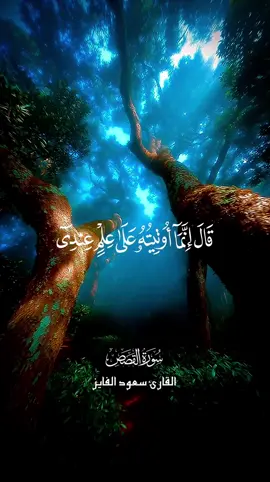 قال قارون: إنما أُعْطِيت هذه الأموال لعلم عندي وقدرة، فأنا أستحقها لذلك. أوَلَم يعلم قارون أن الله قد أهلك من قبله من الأمم من هم أشد قوة وأكثر جمعًا لأموالهم؟! فما نفعتهم قوتهم ولا أموالهم، ولا يسأل يوم القيامة المجرمون عن ذنوبهم لعلم الله بها، فسؤالهم سؤال تبكيت وتوبيخ. #قال_انما_اوتيته_علي_علم_عندي #قران #سورة_القصص #fypシ゚viral #سعود_الفايز 