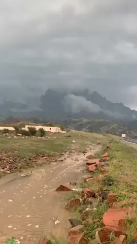 غفلت عن عمري وسايرت الايام والعمر مثل العصر والعصر فوات وكسبت من كثر الاماني والاحلام حلم تعلق لا تحقق ولا مات🤍. #تلعة_نزا_ينبع #رضوى #المدينه #اكسبلورexplore #امطار #ذكرالله #فولوو #لايكات 