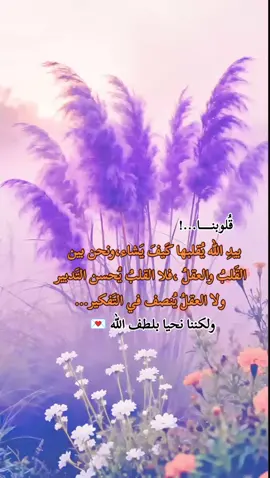 قلوبنا.... بيدِ الله يِقَلبها كَيفَ يَشاء،ونحنُ بين القلبُ والعَقلِ. فلا القلبِ يحسن التدبير،ولاالعقلُ يُنصف في التَفكير ولكننا نحيا بلطف الله.... #اللهم_صلي_على_نبينا_محمد #اقتباسات #عبارات 
