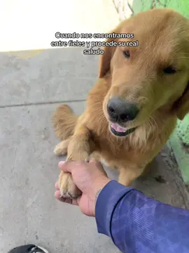 #fyp #fielhastalamuerte 