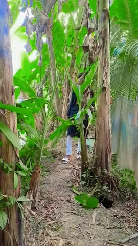 আমার মনে আমার ব্যথা তুমি বুজবা কী 💥💥💥💥