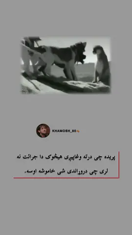 #viral #fffffffffffyyyyyyyyyyypppppppppppp #100k #views #foryoupage 