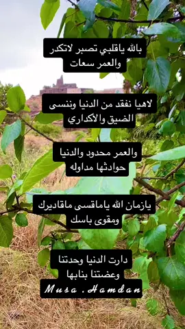 #بحرالنقاء #اكسبلورexplore #مجالسي #شعر_وقصائد #باحتنا_الجميله🇸🇦😘 