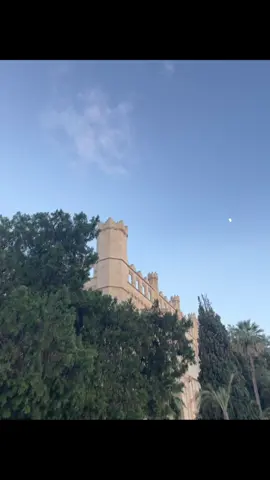 #paisaje #fotosanimadas #parati #fyp #viral 