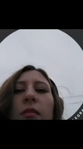 #собаки #милота #животные 